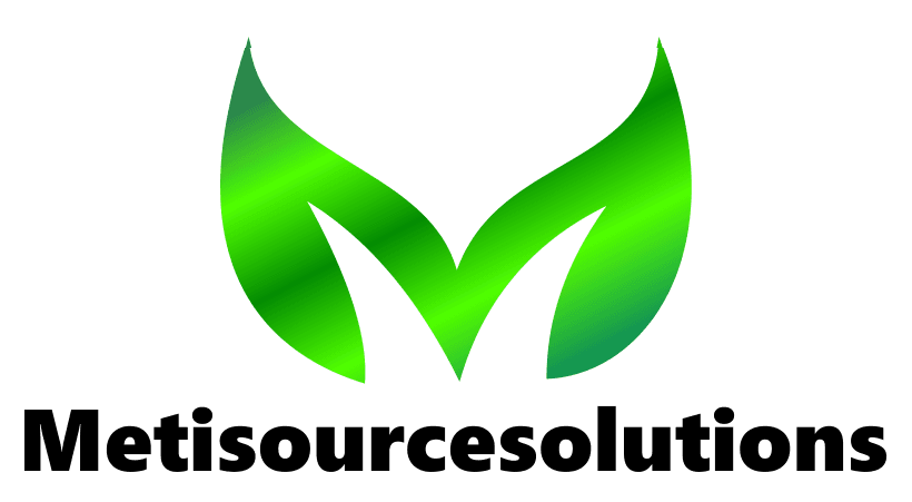 metisourcesolutions.com